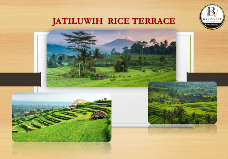 BEDUGUL & TANAH LOT TOUR